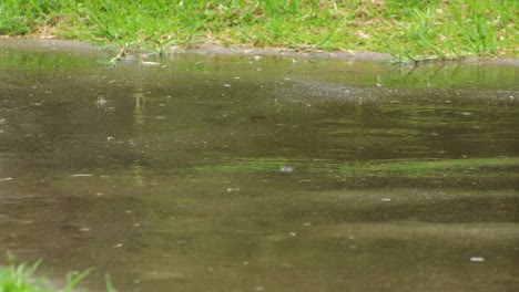 Rain-Falling-Creating-Puddles-On-Stone-Path-Australia-Victoria-Gippsland-Maffra