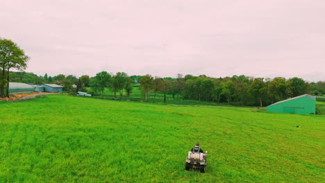 Aerial-drone-shot-of-an-herd-of-sheep-in-a-farm