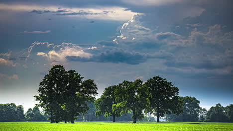 Big-green-deciduous-trees-in-front-of-dramatic-cloudscape-panorama,-timelapse