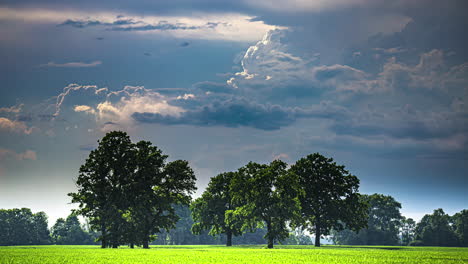 Grandes-árboles-Verdes-De-Hoja-Caduca-Frente-A-Un-Espectacular-Panorama-De-Nubes,-Timelapse