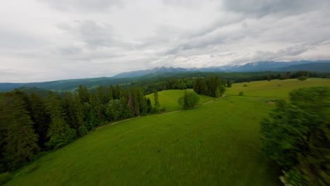 Grüne-Wiesen-Und-Berge-Am-Horizont,-Gefährlicher-FPV-Flug