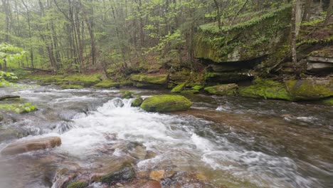 stunning,-atmospheric-mountain-stream-during-summertime-with-mossy-rocks-and-a-lush-green-forest