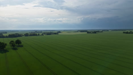 A-Charming-Landscape-of-Green-Fields-Under-a-Sky-with-Scattered-Clouds---Hyperlapse