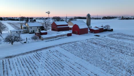 Flying-birds-over-snowy-farm-fields-covered-with-snow-on-colorful-sunrise-in-the-morning