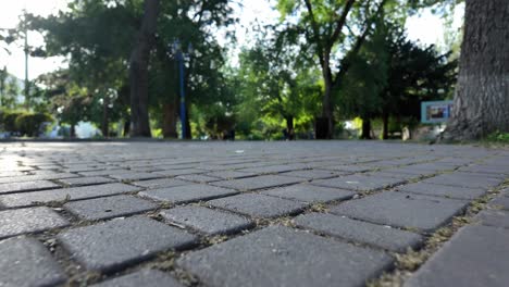 Un-Relajante-Paseo-Por-Un-Parque-En-Un-Día-Soleado-De-Verano