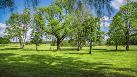 Zeitrafferaufnahme-Von-Gärtnern,-Die-An-Einem-Hellen,-Sonnigen-Tag-Mit-Vorbeiziehenden-Weißen-Wolken-Ein-Großes-Grasfeld-Mit-Bäumen-Mähen