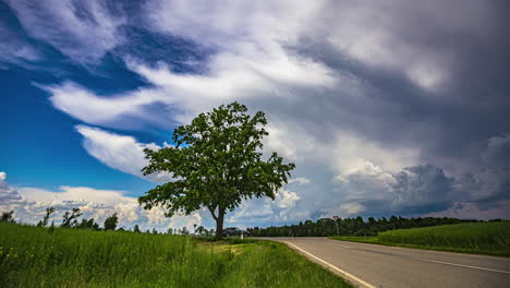 árbol-Al-Borde-De-La-Carretera-Y-Tormenta-Que-Fluye-Arriba,-Vista-De-Lapso-De-Tiempo