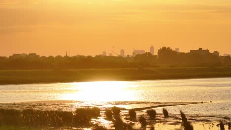 Reflejo-Dorado-De-La-Luz-Del-Sol-Sobre-El-Lago-Cerca-De-Hendrik-ido-ambacht,-Países-Bajos