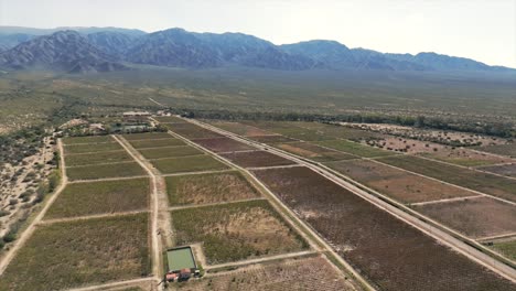 Aerial-View-Vineyards-plantation-Calchaqui-Valleys,-Argentina,-South-America