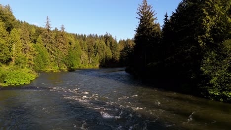 Scenic-shot-gliding-over-Snoqualmie-River-in-Evergreen-forest-on-a-blue-sky-day-in-Washington-State