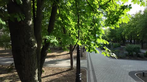 Ein-Entspannter-Spaziergang-Durch-Einen-üppigen-Park-An-Einem-Strahlenden-Sommertag