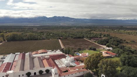 Aerial-mass-production-of-grapes-for-wine-in-vineyard-Cafayate,-Salta,-Argentina