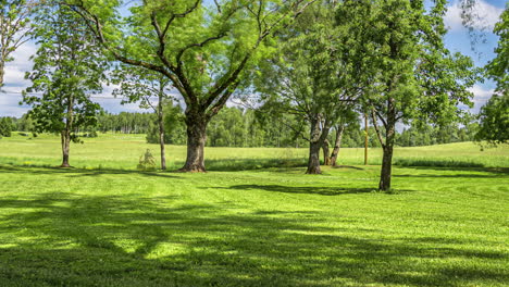 Time-lapse-Cortando-El-Césped,-Cortando-Césped-Con-Recortadora,-Mantenimiento-Del-Campo