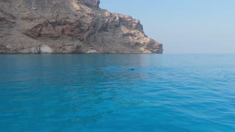 Luftaufnahme-Einer-Delfinschule,-Die-An-Einem-Hellen-Tag-Vor-Der-Küste-Von-Sokotra-Im-Leuchtend-Türkisfarbenen-Meereswasser-Schwimmt