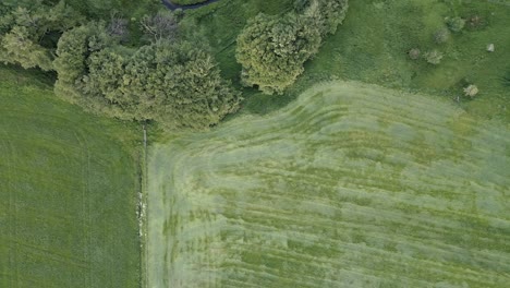 Die-Luftaufnahme-Mit-Dolly-Blickt-Direkt-Auf-Das-Grüne-Schottische-Ackerland