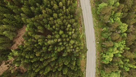 Lonely-road-leading-through-forest-of-Norway,-aerial-top-down-view