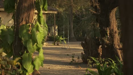 Rope-swing-swaying-in-the-wind-at-sunset