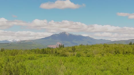 Scenic-shot-flying-over-tree-top-forest-with-mountain-in-background-in-Snohomish-Washington-State