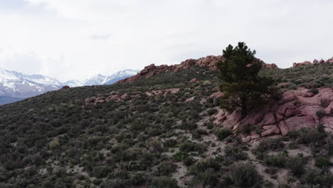 Crater-Mountain's-rugged-terrain-with-the-Aeolian-Buttes-in-the-foreground-and-snow-capped-peaks-in-the-distance