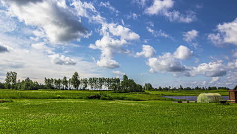 Rasenmähen,-Grasschneiden-Mit-Automatischem-Trimmer,-Zeitraffer-Acker