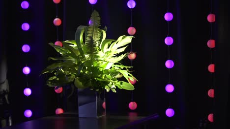 Floral-decoration,-changing-colour-lights,-party-atmosphere-nightclub