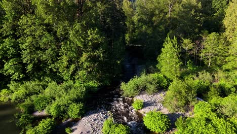 Aerial-shot-of-creek-in-Evergreen-forest-flowing-into-Snoqualmie-River-in-Washington-state