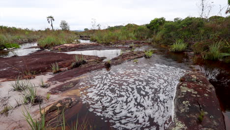 Tropical-swirling-stream-pan-grassland-on-sand,-sandstone,-overcast