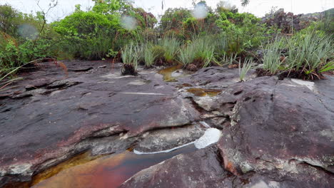 Tropical-swirling-stream-pan-grassland-on-sand,-sandstone,-overcast