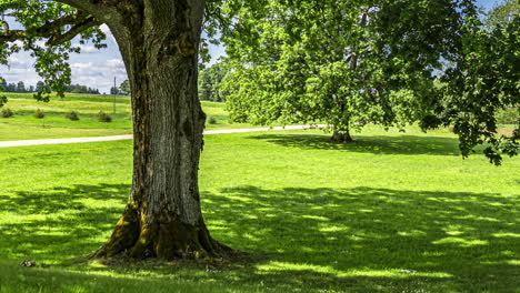 Toma-De-Timelapse-De-Jardineros-Cortando-Campos-De-Hierba-Verde-Cubiertos-De-árboles-Durante-Todo-El-Día