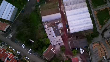 Bird's-eye-view-of-pineapple-plantations-in-the-Azores