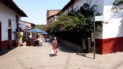 Timelapse-of-people-walking-and-sightseeing-on-Alvaro-Obregon-Street-leading-to-Tapalpa's-marketplace