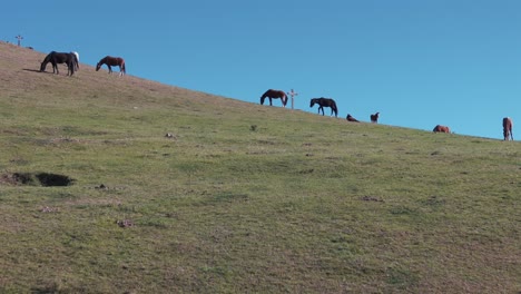 Vista-Aérea-De-Pastos-Andinos-De-Montaña-Con-Granjas-Que-Crían-Caballos-En-Tafí-Del-Valle.