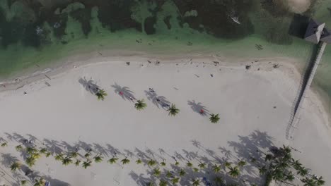 Drone-top-down-bird's-eye-view-of-coconut-palm-tree-shadows-across-sandy-beach