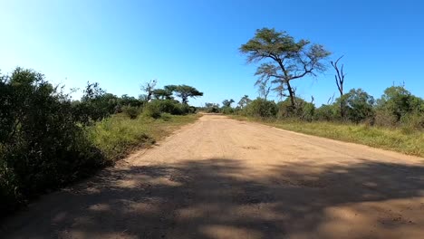 Driving-through-the-kruger-national-park-on-a-dirt-road-in-a-time-lapse-shot