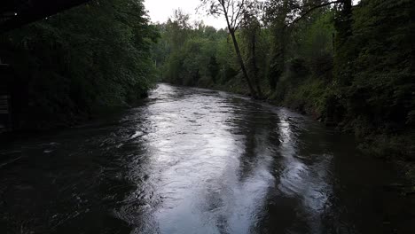 Slow-moving-shot-under-bridge-with-flowing-Cedar-River-in-lush-green-forest-in-Washington-State