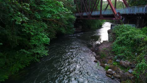 Stationary-scenic-aerial-shot-of-flowing-Cedar-River-under-bridge-surrounded-by-greenery-in-Washington-state