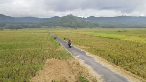 Drone-view-Biker-guy-driving-a-motorbike-in-a-rice-field-area-with-mountain-views-with-rural-atmosphere