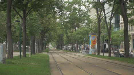 Pedestrians-walk-through-Vienna-tram-line-under-tree-avenue