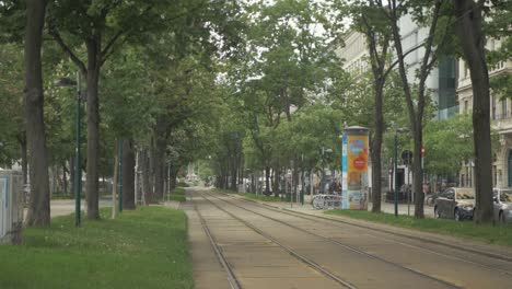 Los-Peatones-Caminan-Por-La-Línea-De-Tranvía-De-Viena-Bajo-La-Avenida-De-árboles