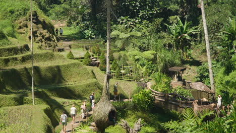 Tilt-up-Reveal-Of-Pekak-Brayut-Sculpture-At-Alas-Harum-Bali-In-Tegallalang,-Bali,-Indonesia