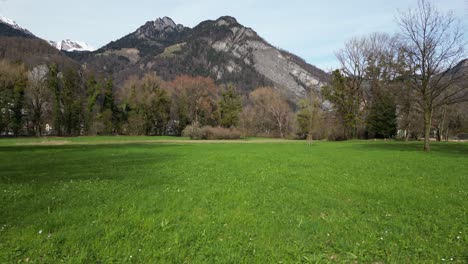 Paisaje-Natural-En-Primavera,-Walensee-Suiza-Con-Fondo-De-Alpes-Suizos