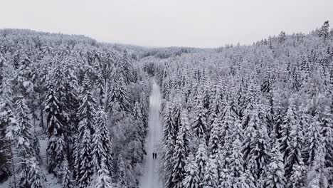 A-couple-walks-along-a-snow-covered-forest-road-in-Norway,-surrounded-by-dense,-frost-covered-trees,-capturing-the-serene-beauty-of-winter