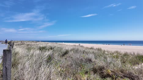 Dunas-De-Arena-Y-Playa-En-El-Mar-Báltico