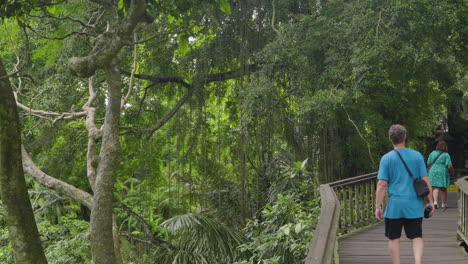 Turistas-Caminando-Por-Un-Sendero-De-Madera-En-El-Santuario-Del-Bosque-Sagrado-De-Los-Monos-En-Ubud,-Bali,-Indonesia