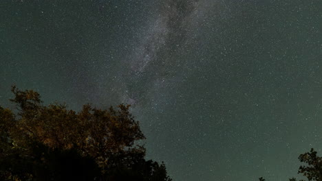 Timelapse-De-La-Vía-Láctea-Que-Se-Extiende-Sobre-Las-Copas-De-Los-árboles,-Cerca-De-Mason,-Texas