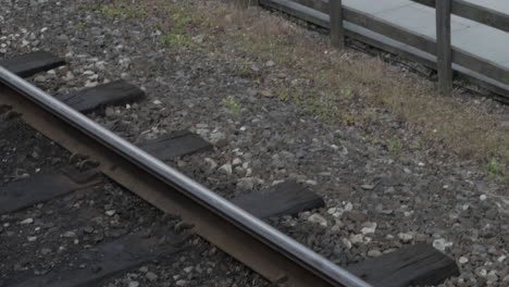 Soldados-Alemanes-De-La-Wehrmacht-WW2-En-Una-Estación-De-Tren-Con-Armas-Y-Vehículos-Blindados