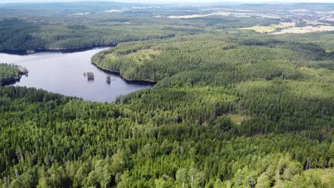 Aerial-view-of-a-lush-forest-surrounding-a-tranquil-lake-in-Norway,-showcasing-the-natural-beauty-and-serenity-of-the-landscape