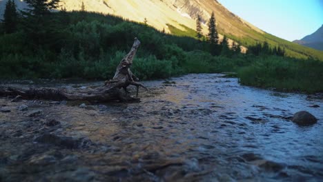 A-serene-mountain-stream-flows-over-rocks-and-around-a-fallen-tree,-set-against-a-backdrop-of-lush-greenery-and-distant-hills