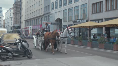 Pferdekutschenfahrt-Durch-Wien