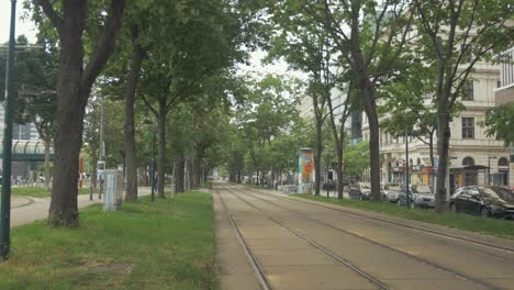 Vienna-tramline-runs-through-avenue-of-lush-tree-foliage